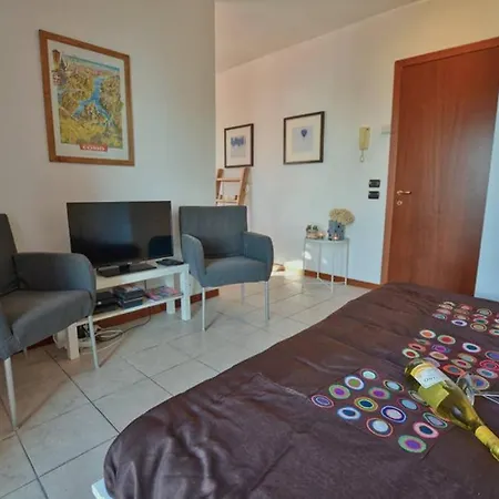 Comomeer, Camelia 26, * Acquaseria